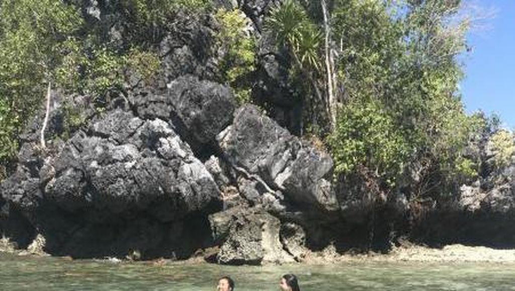 Berenang di laut Pulau Senja yang hijau jernih.